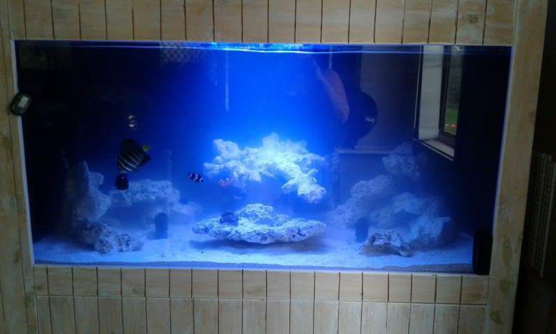 received_1172370599462014.jpeg