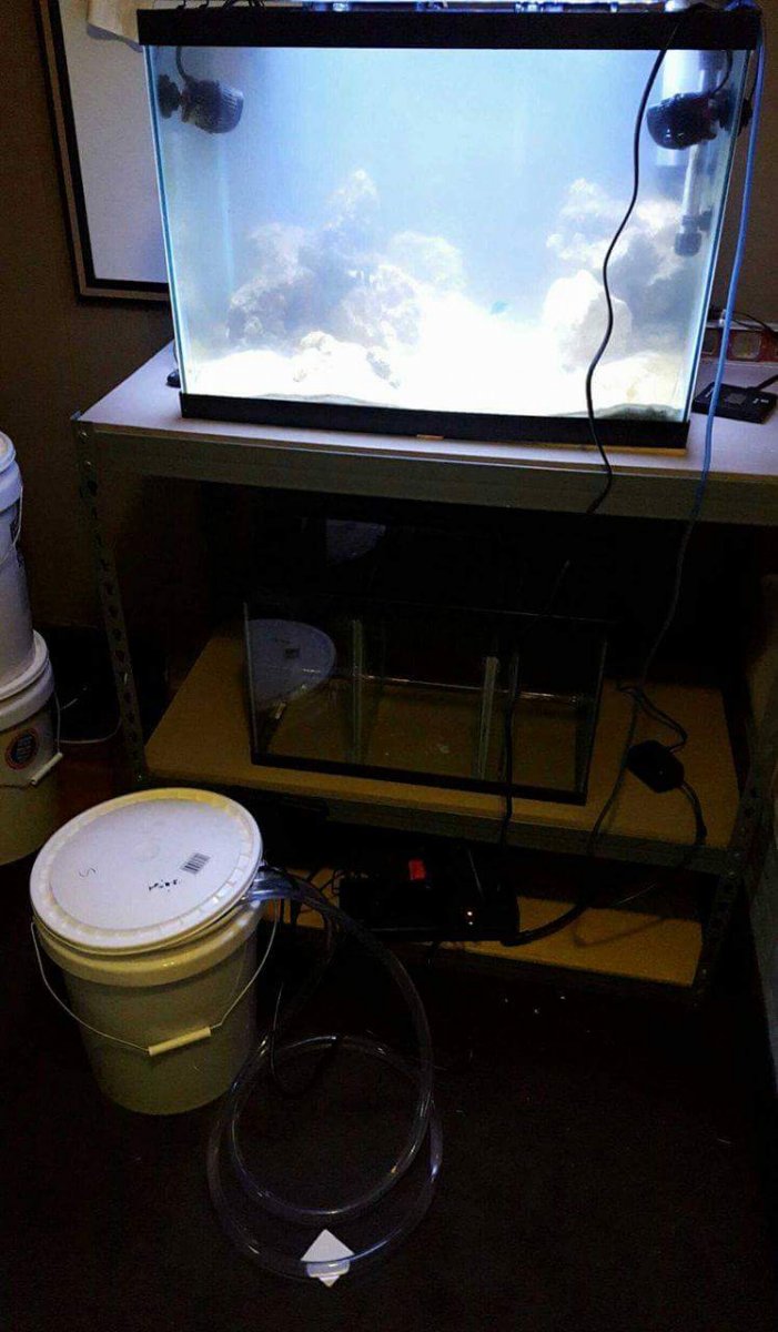 received_1232173083510129.jpeg