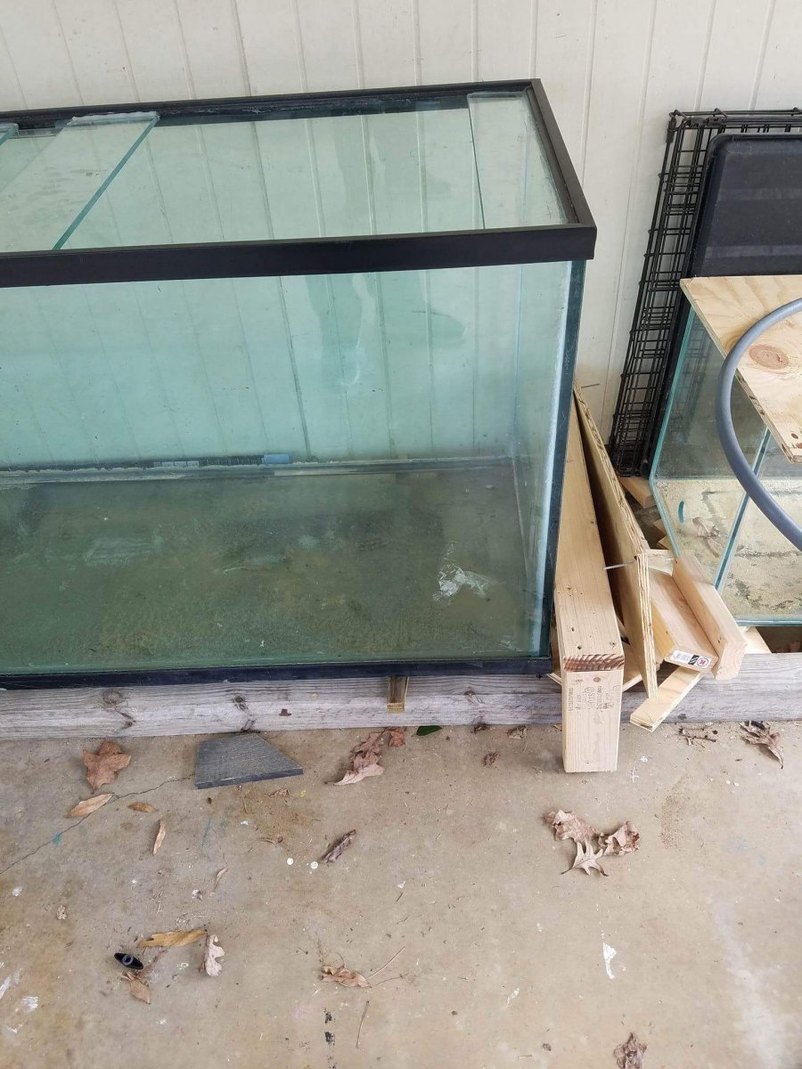 received_1372853926067878.jpeg