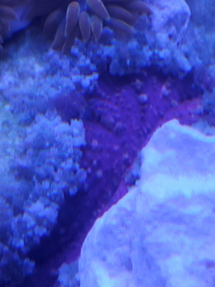 received_1420267021761354.jpeg