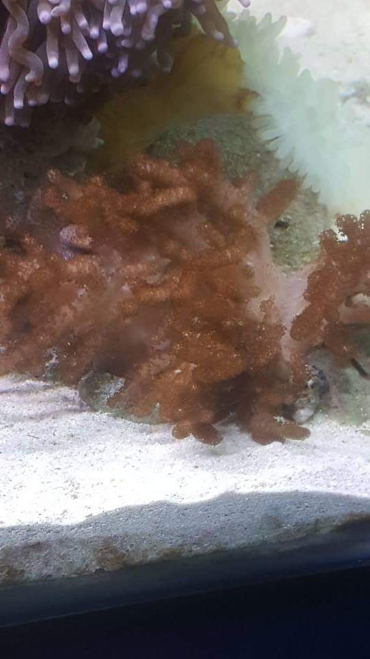 received_1820675681365468.jpeg