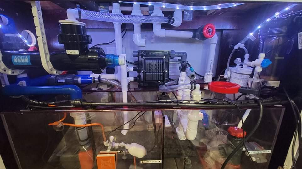 received_2364028617264070.jpeg