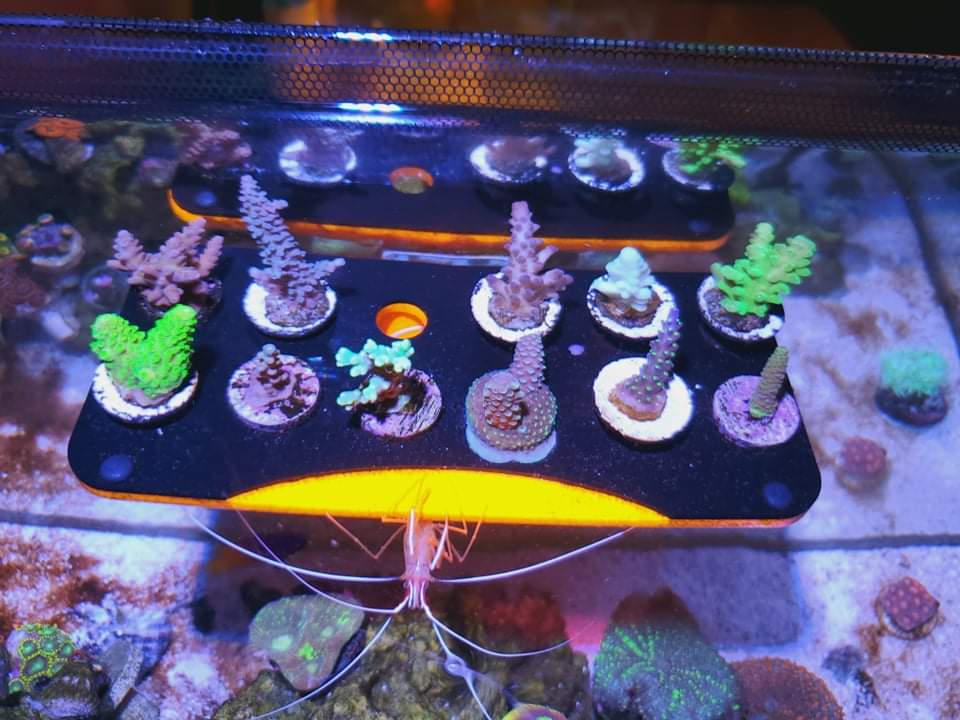 received_308141140644844.jpeg