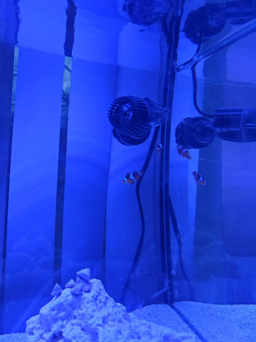 received_3213110778967717.jpeg