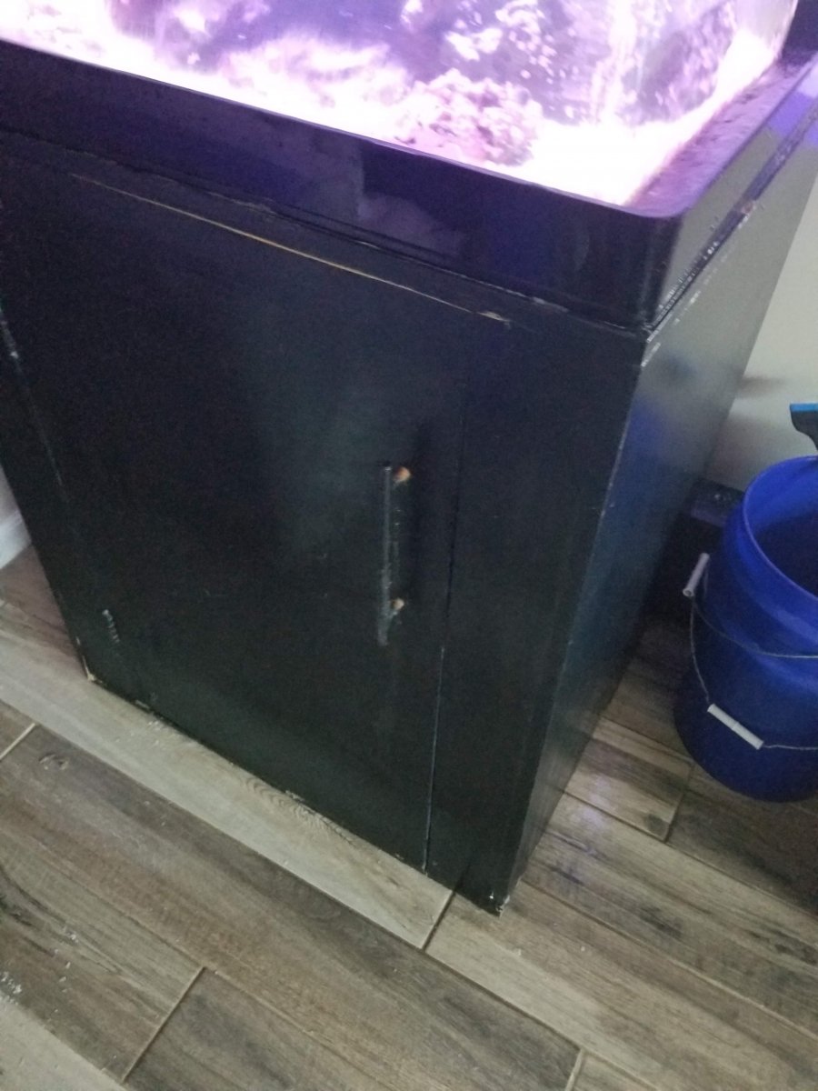 received_394820581367935.jpeg