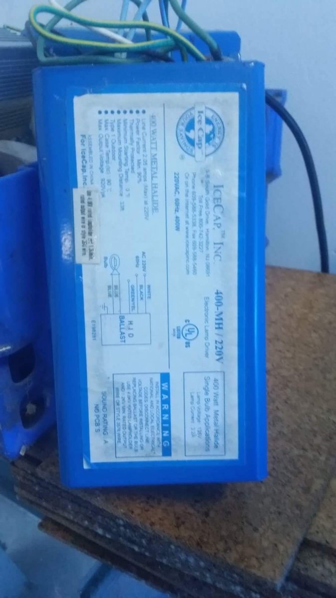 received_499094150485800.jpeg