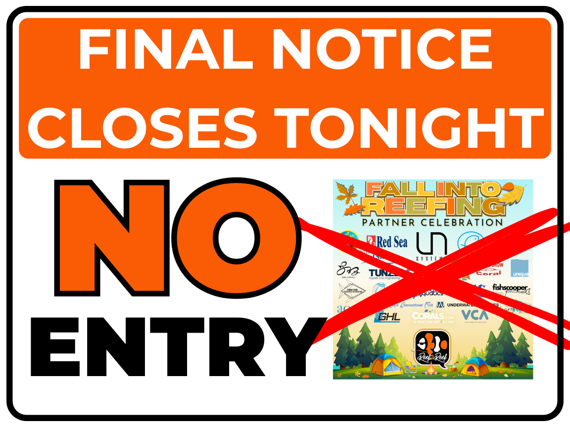 GAME OVER — ONLY A FEW HOURS LEFT