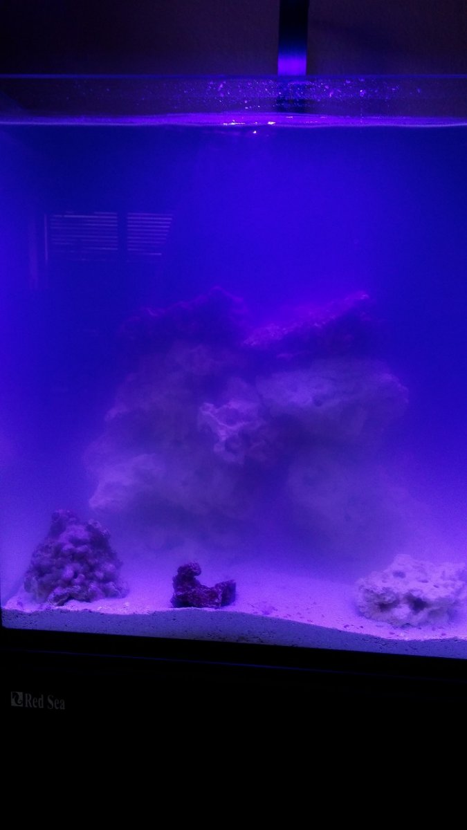 Red Sea Nano 28 8-01-2017.jpg