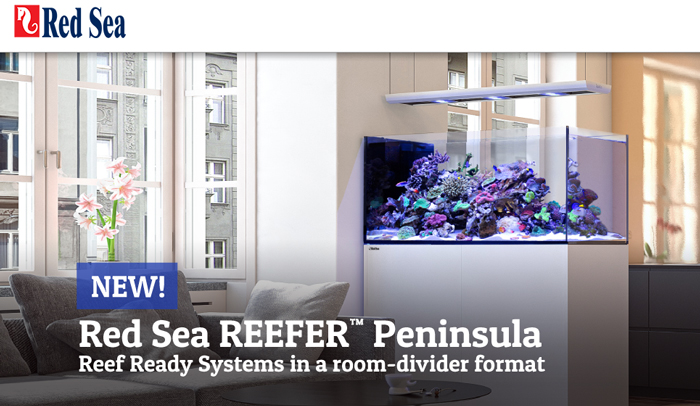 Red-Sea-Reefer.jpg