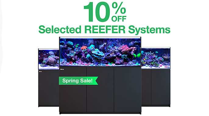 Red-Sea-Reefer-Sale.jpg