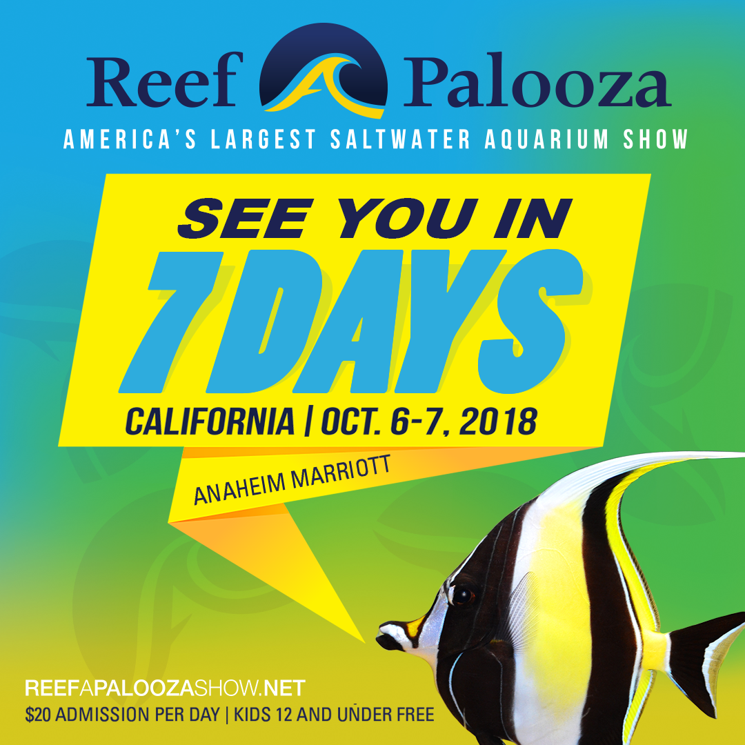 Reef-A-Palooza_California_7days.png