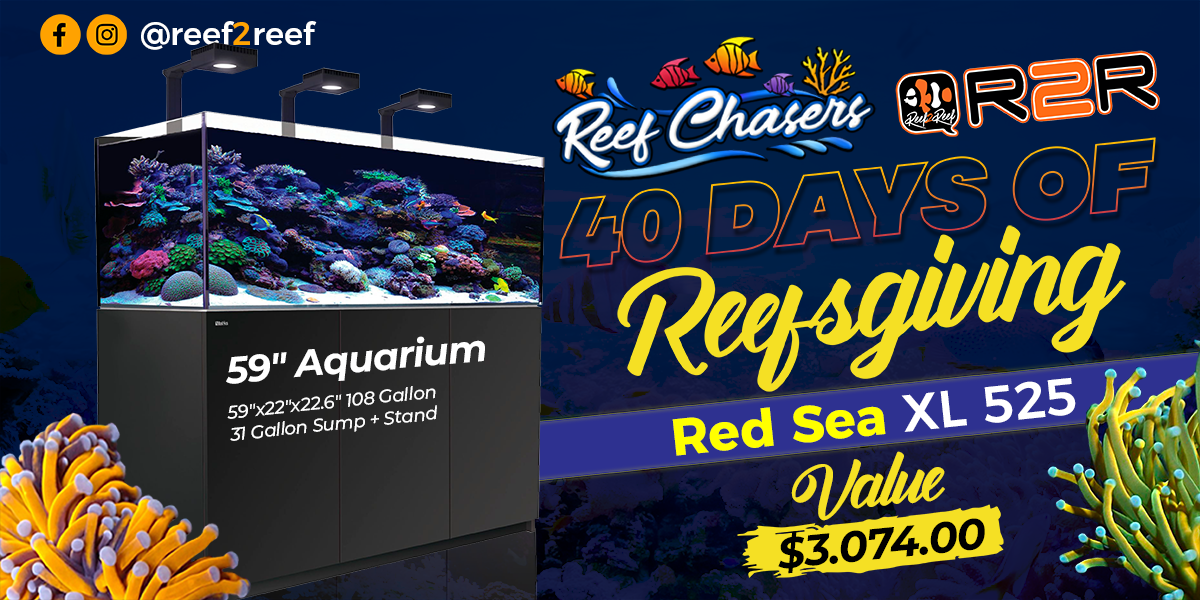Reef Chasers Reefsgiving Giveaway.png