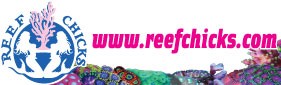 reef-chicks-logo-1423882322.jpg