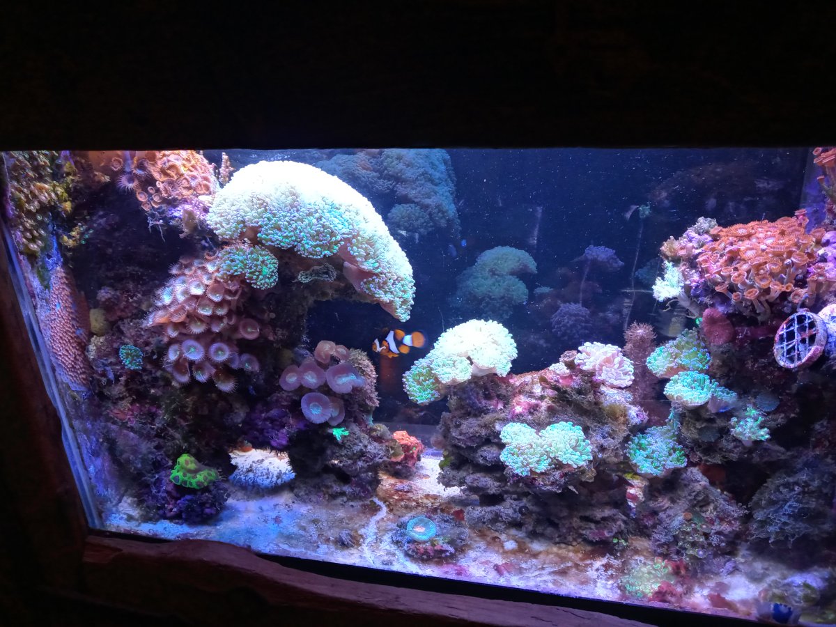 reef-fall2023.jpg