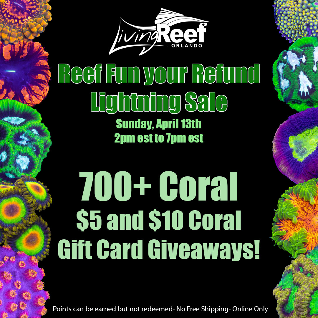 **LRO Reef Fun your Refund Lightning Sale!! $10 Coral! Giveaways ...