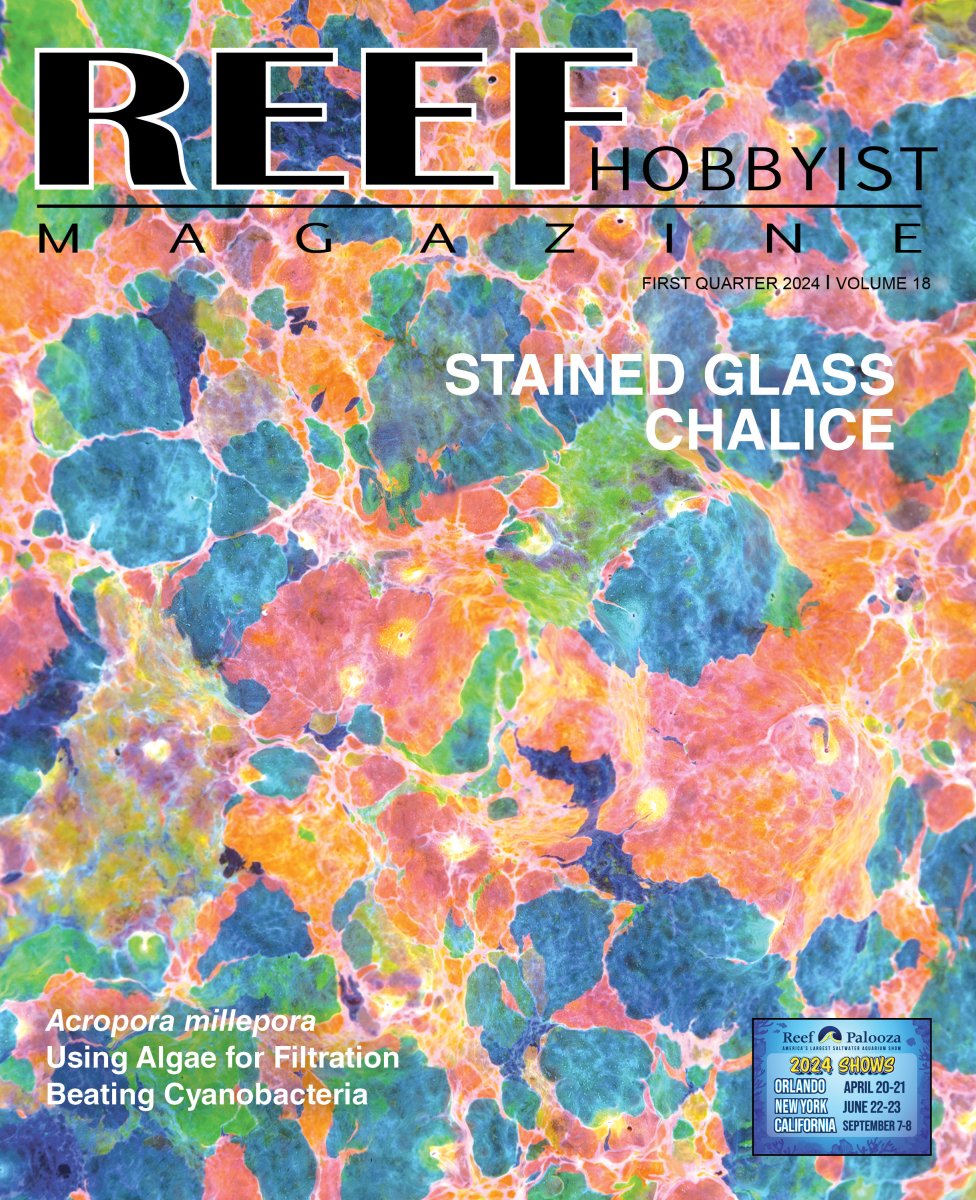 Reef Hobbyist Magazine Q1 2024 Cover.jpg