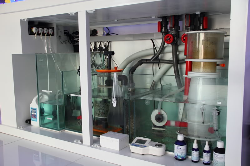 saltwater fish tank equipment