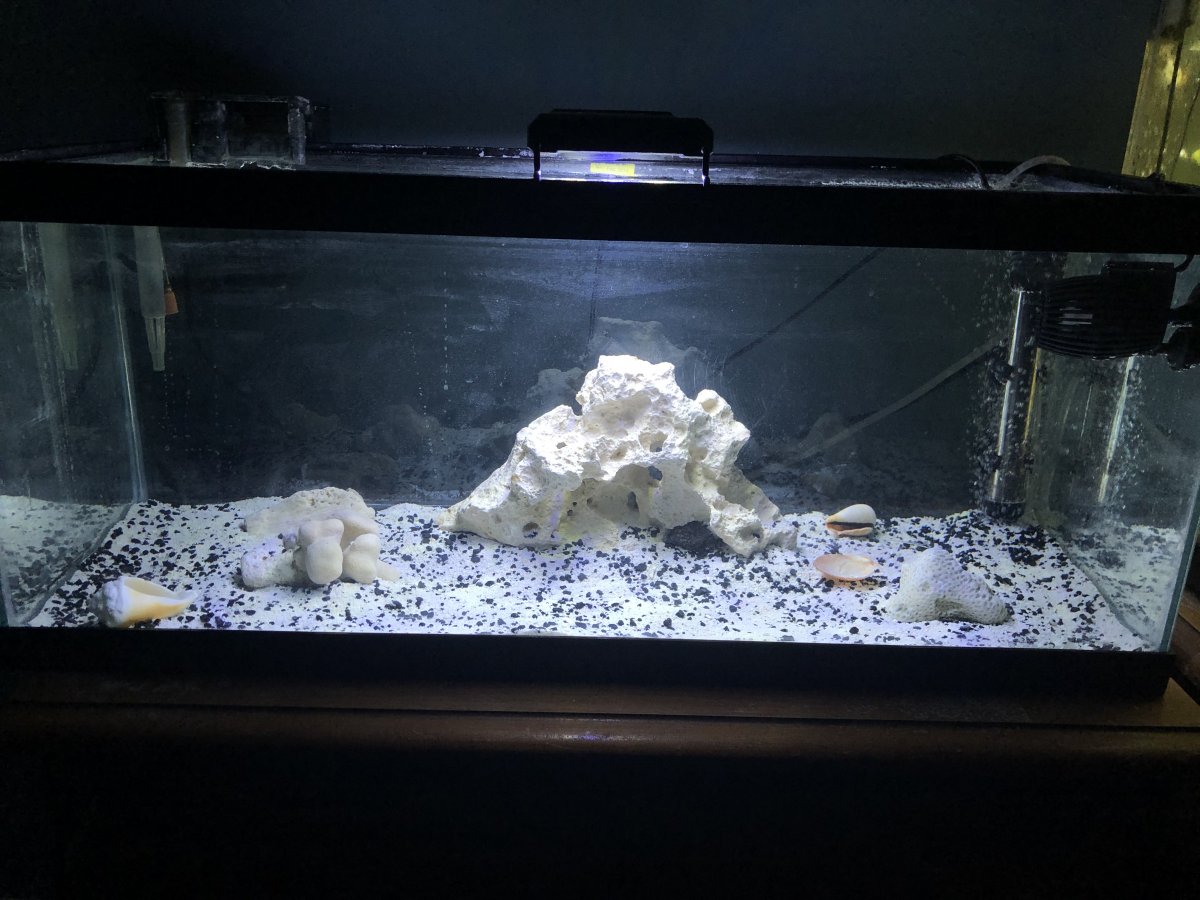 Reef.jpg