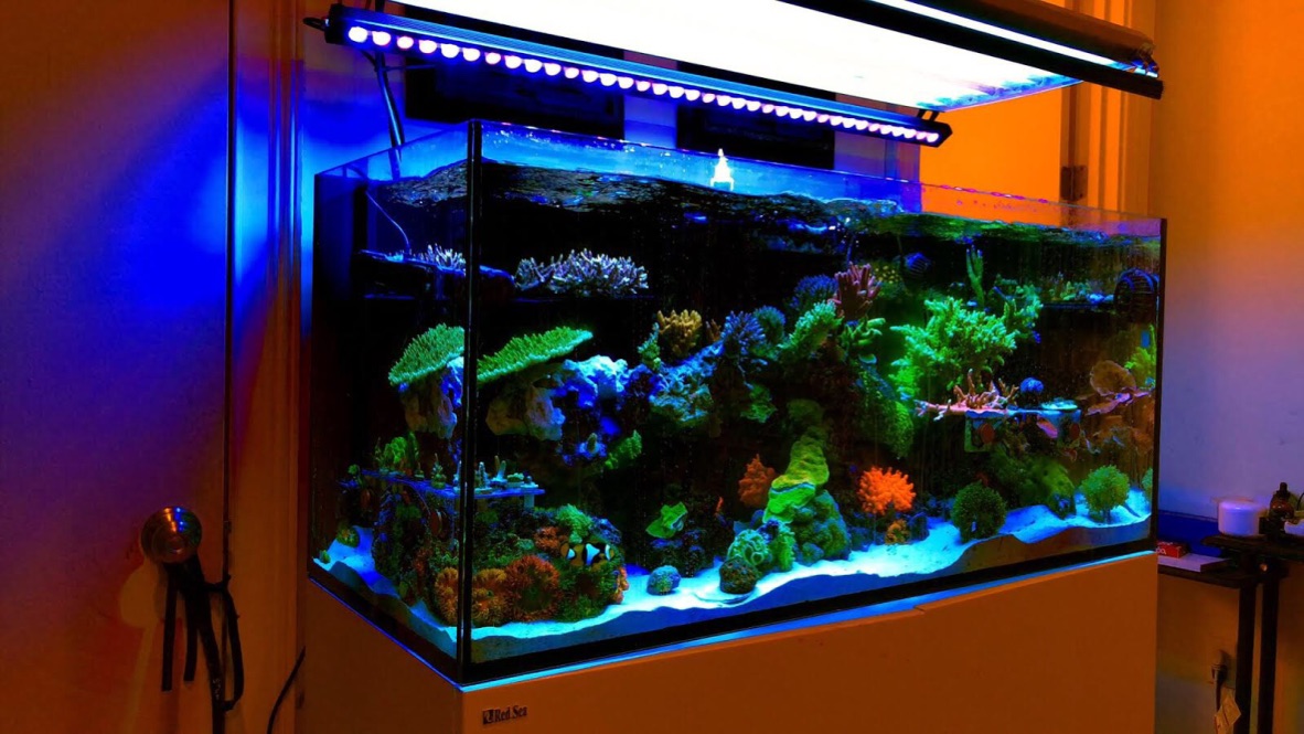 reef-LED-bar-Orphek.jpg