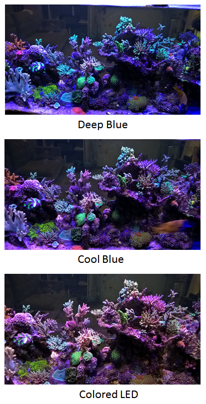 reef led channel.png