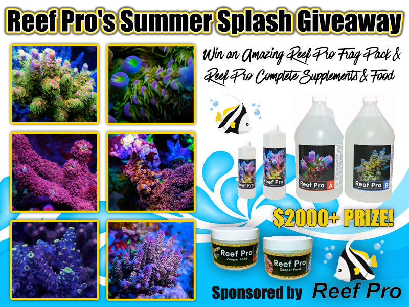 Reef Pro Giveaway.jpg