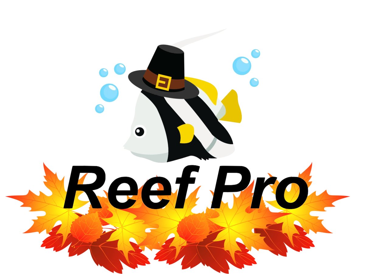 Reef ProTG.jpg