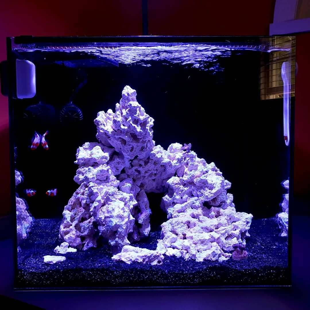 reef rock.jpg