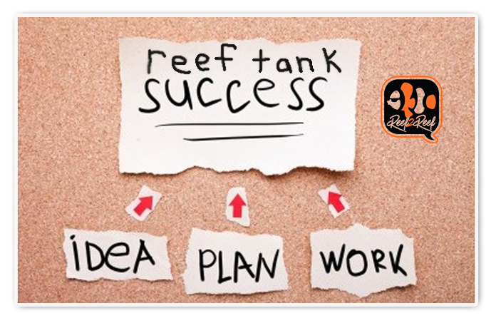 reef tank success board.jpg