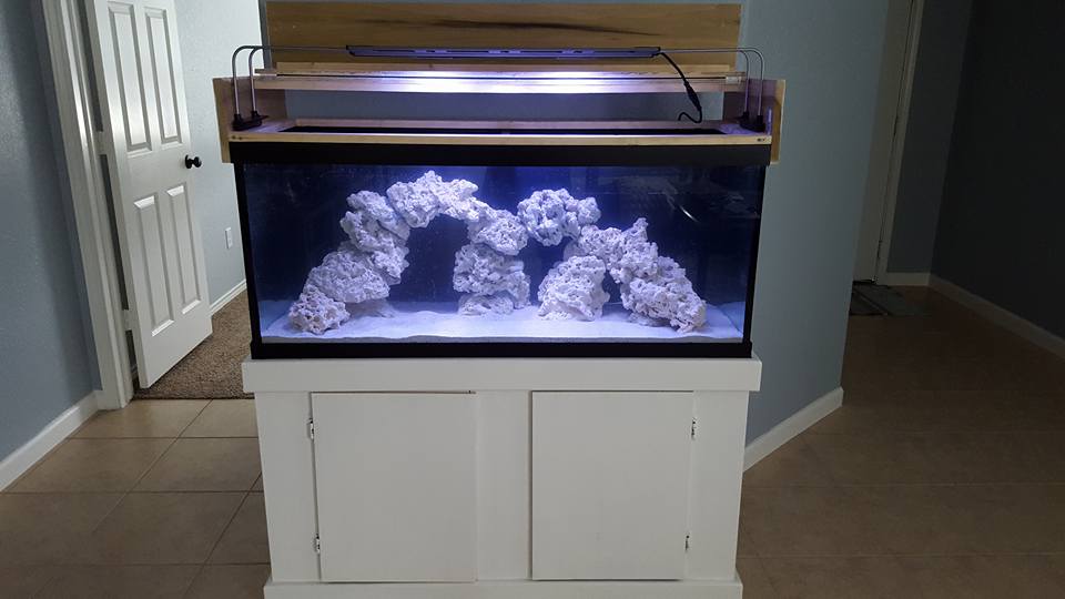 reef10.jpg