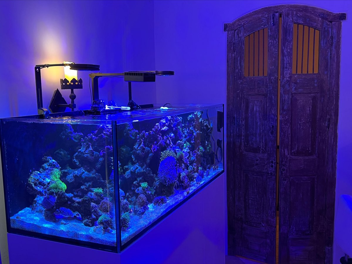 REEF180.jpg