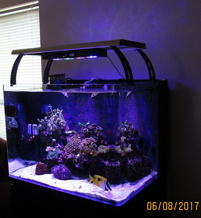 reef2reef.jpg