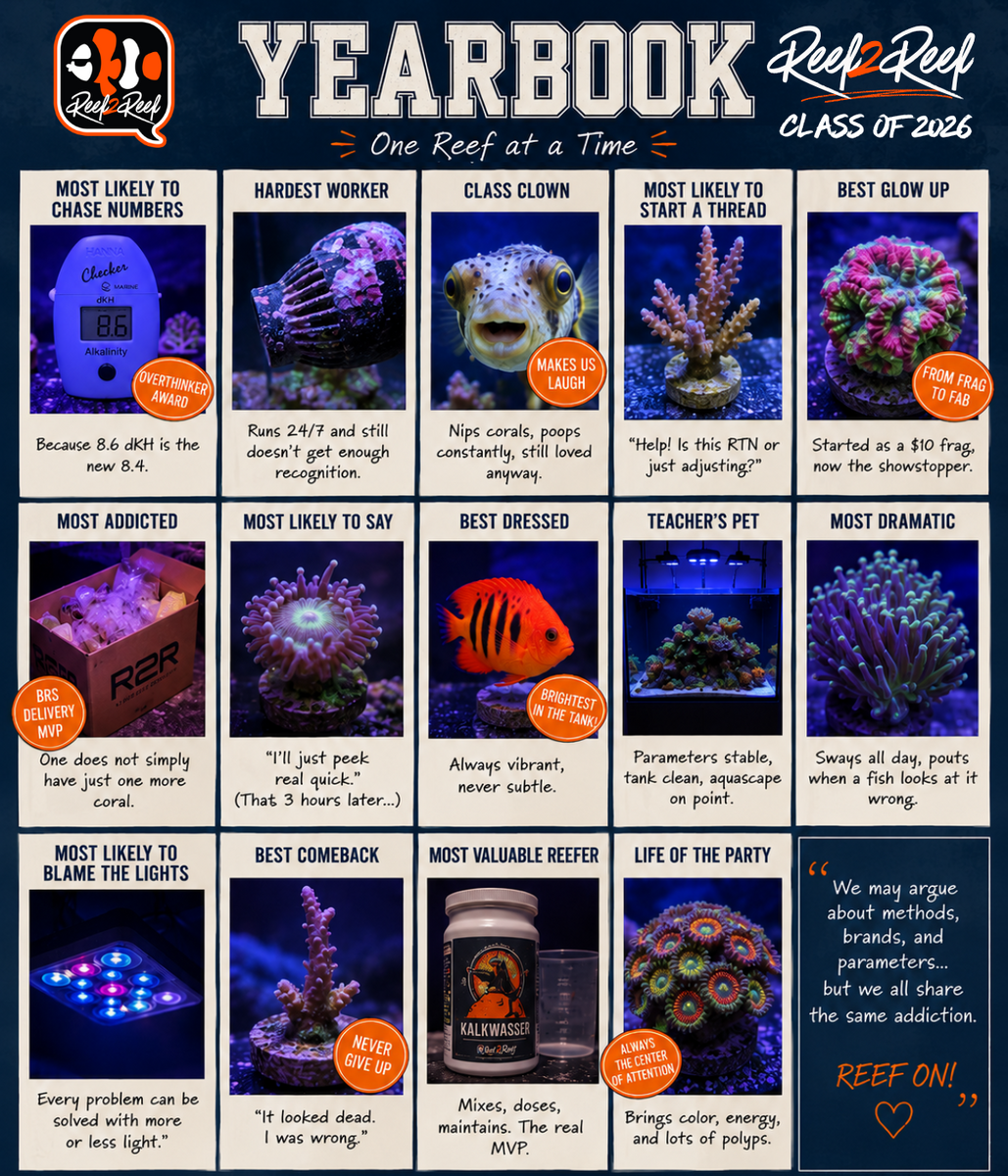 Reef2Reef.png