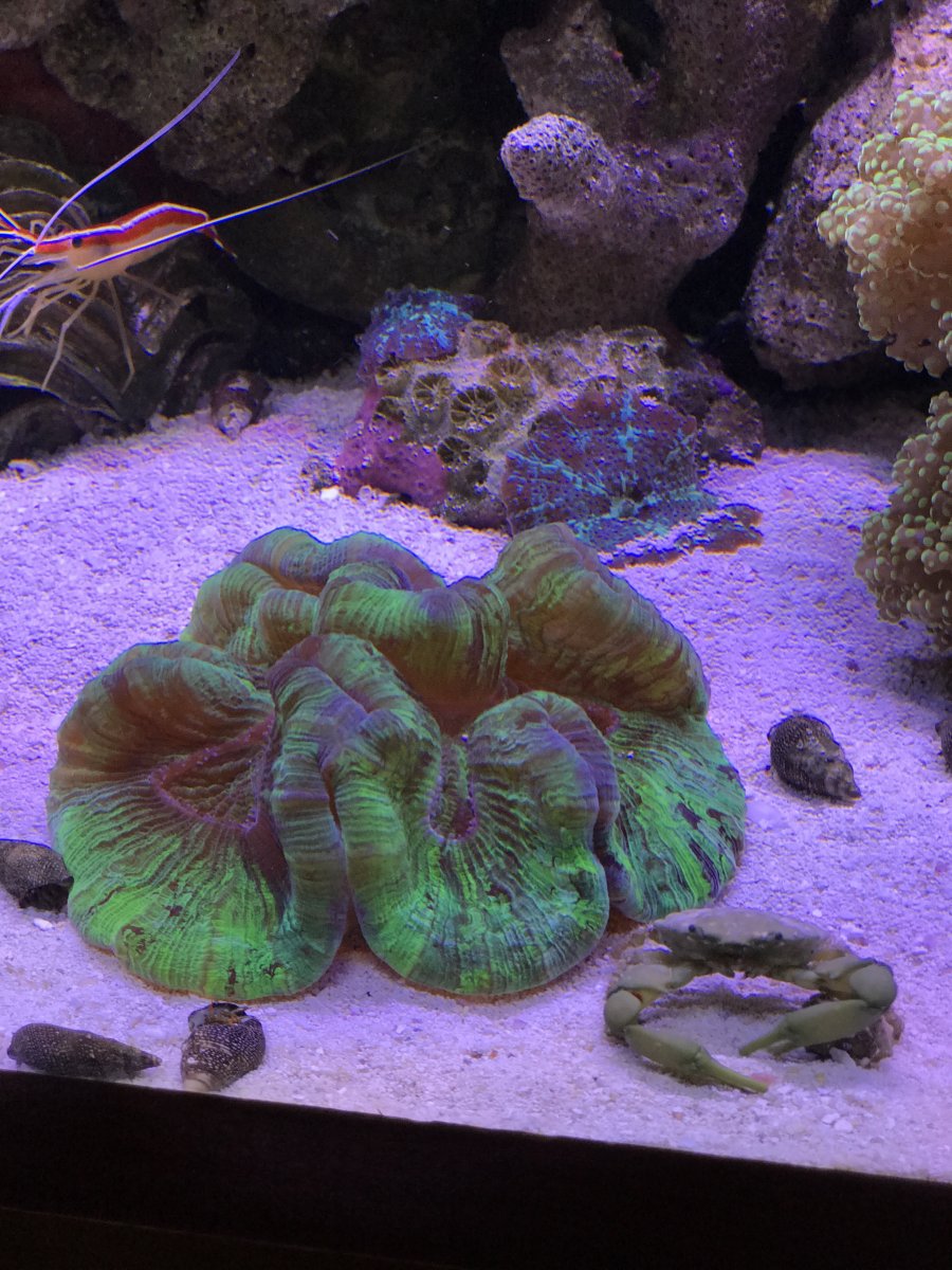 reef8.JPG