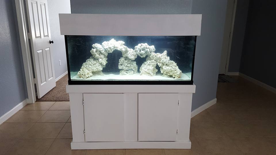 reef9.jpg