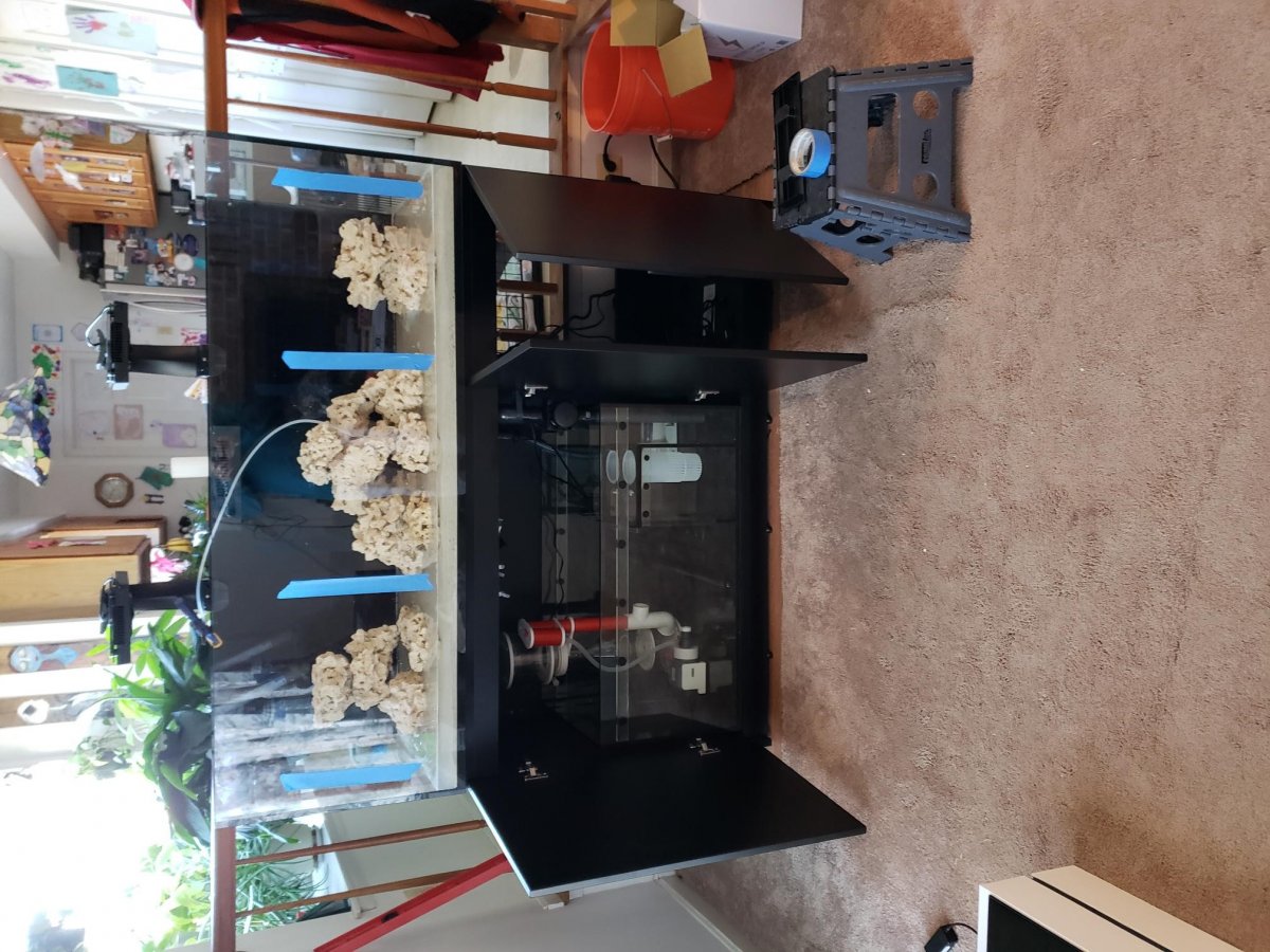 reef9.jpg