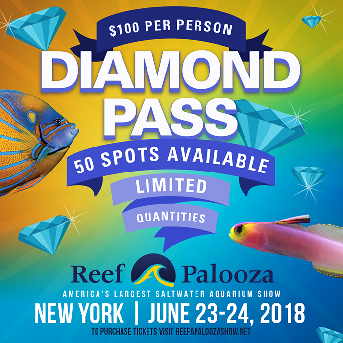 Reefapalooza_Diamond Pass.png