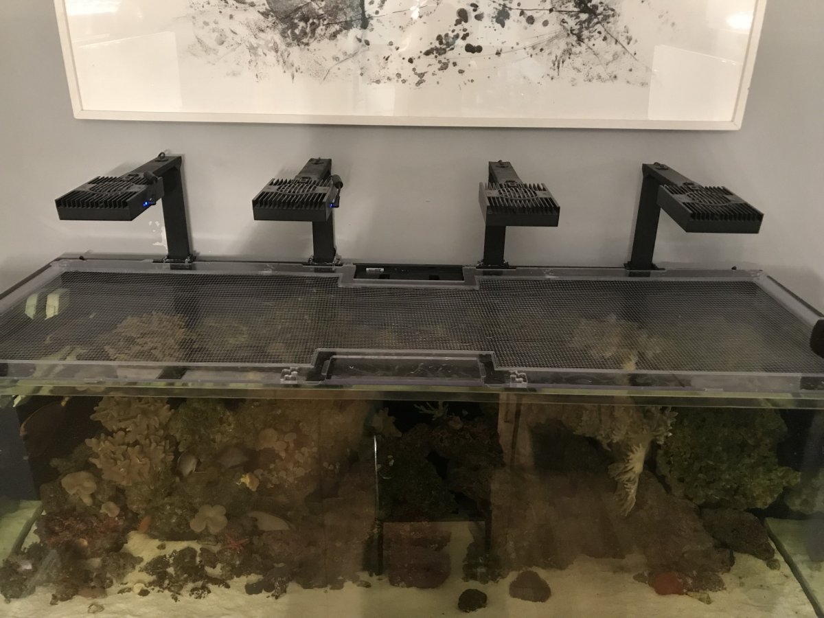 Reefer 750 Tsunami.jpeg
