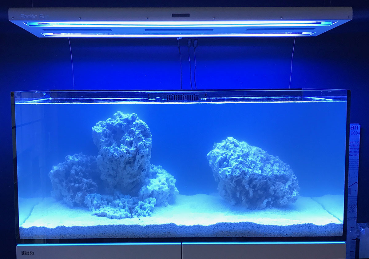 reefer first run.jpg