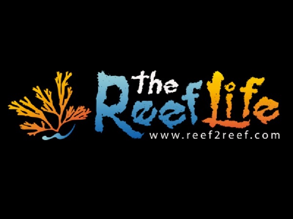 reeflife.jpg