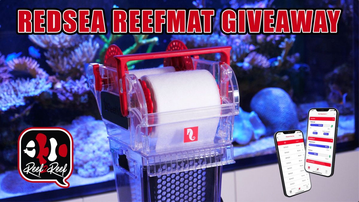 reefmat redsea giveaway.jpg