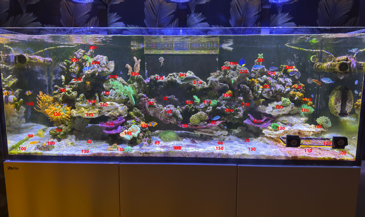 reefpar.png