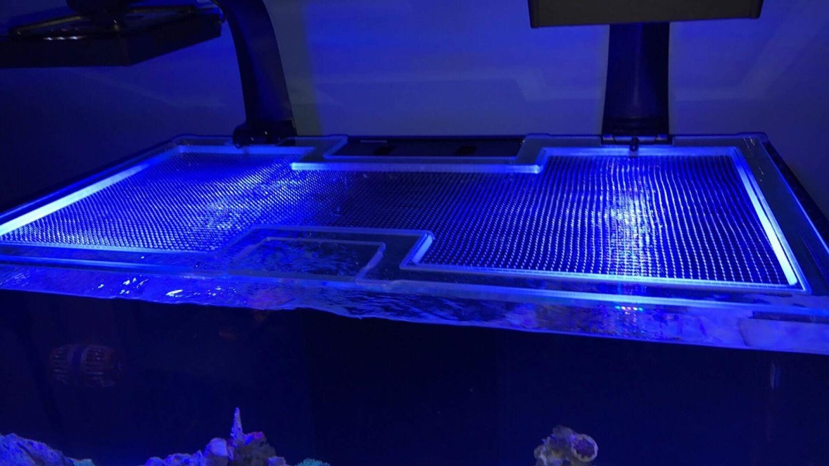 reefr250acrlid.jpg