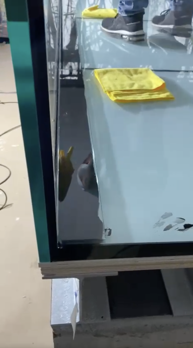 Reeftank 0161.png