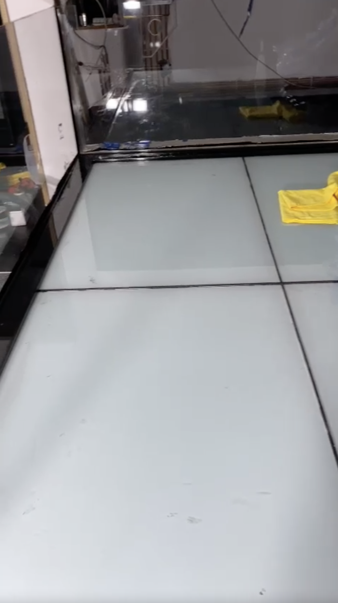 Reeftank 0179.png