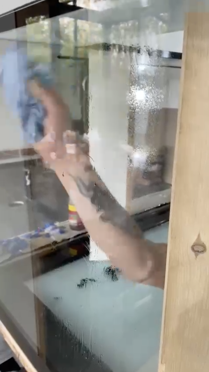 Reeftank 0224.png