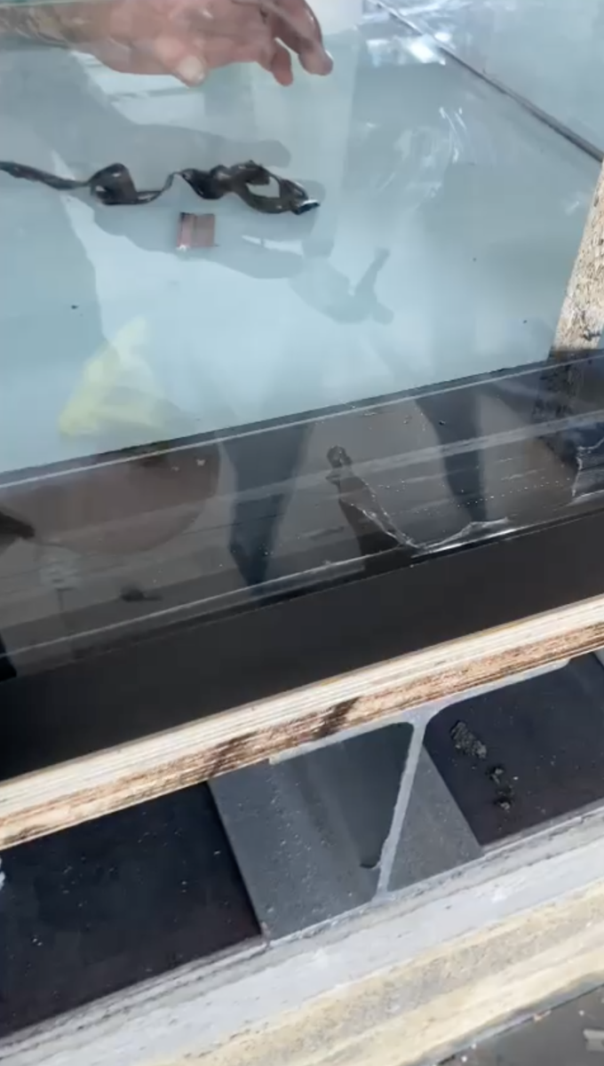 Reeftank 0229.png