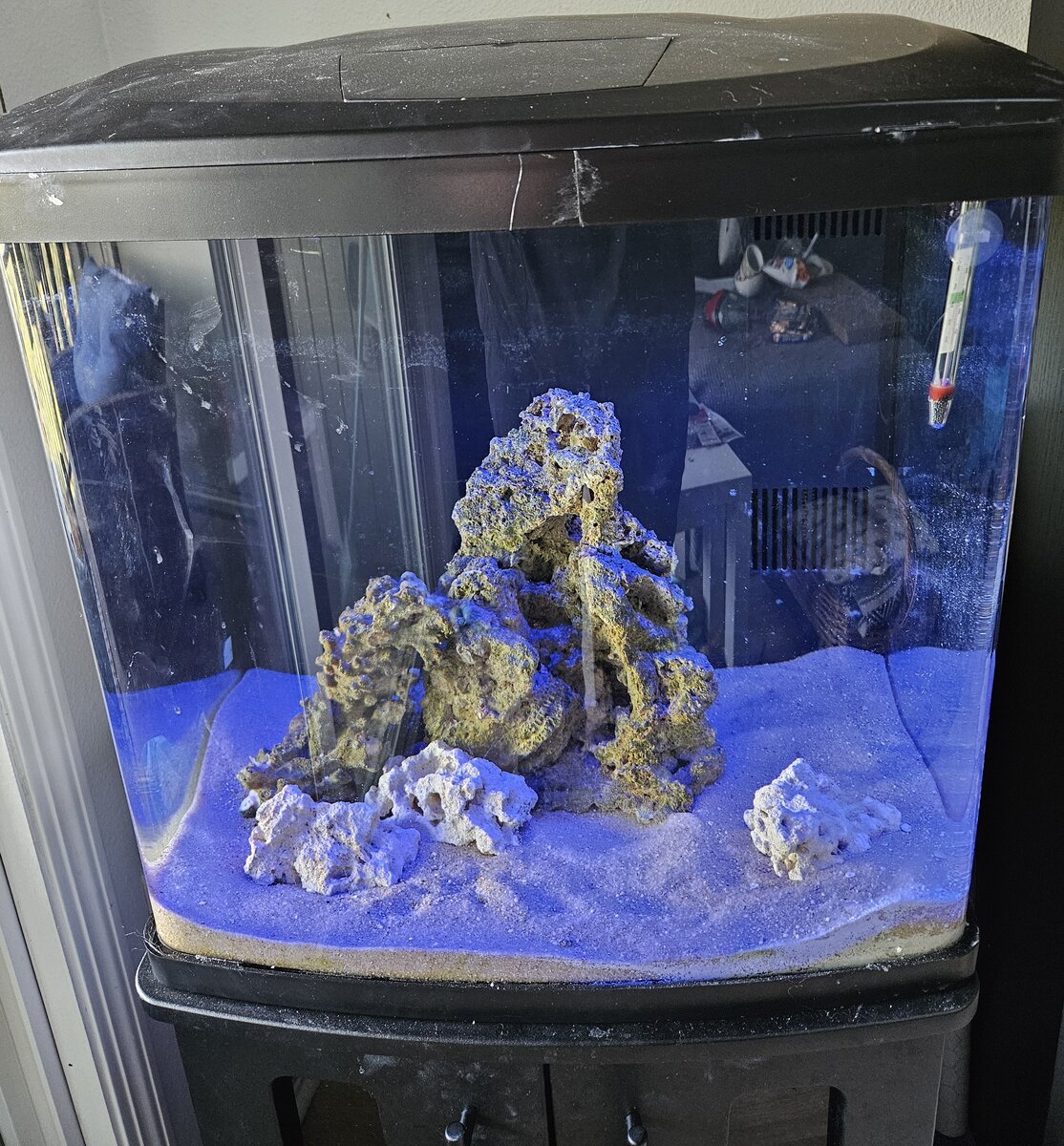 reefTank1.jpg