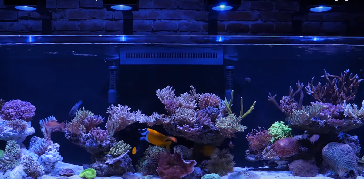 ReefWave Installation 1.png