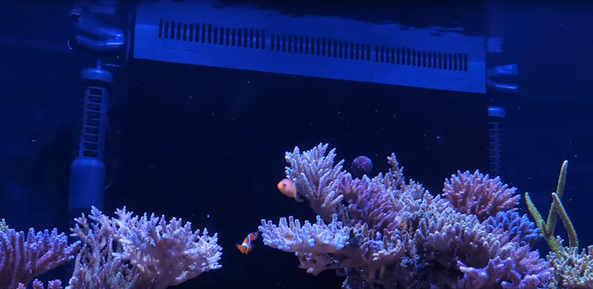 ReefWave Installation 2.png