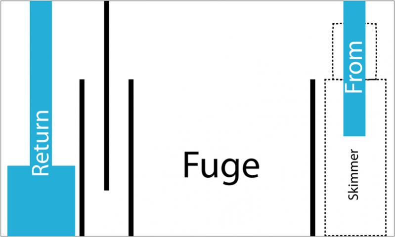 refug2.jpg